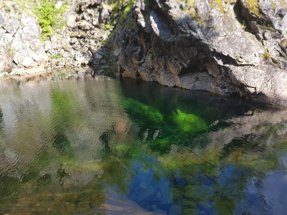 Elvestua Villa Gibostad Kültér fotó