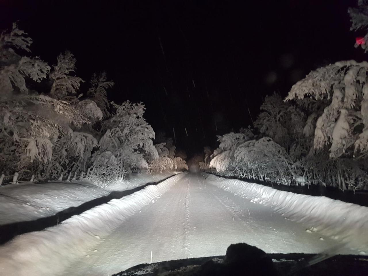 Elvestua Villa Gibostad Kültér fotó