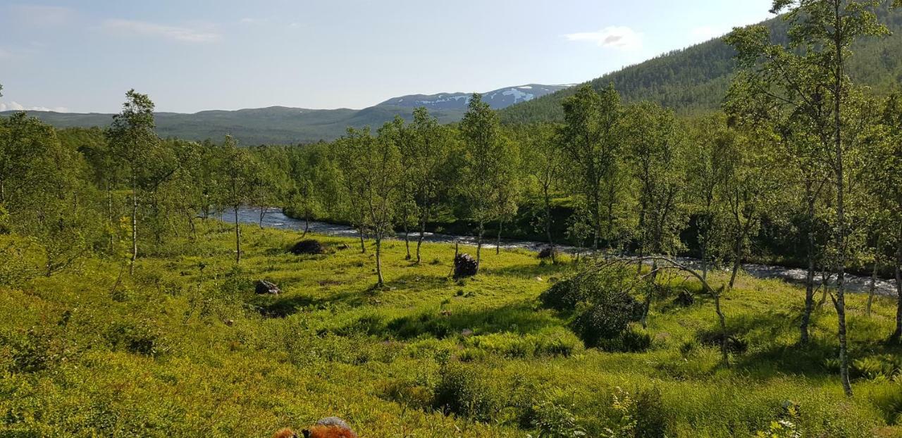 Elvestua Villa Gibostad Kültér fotó