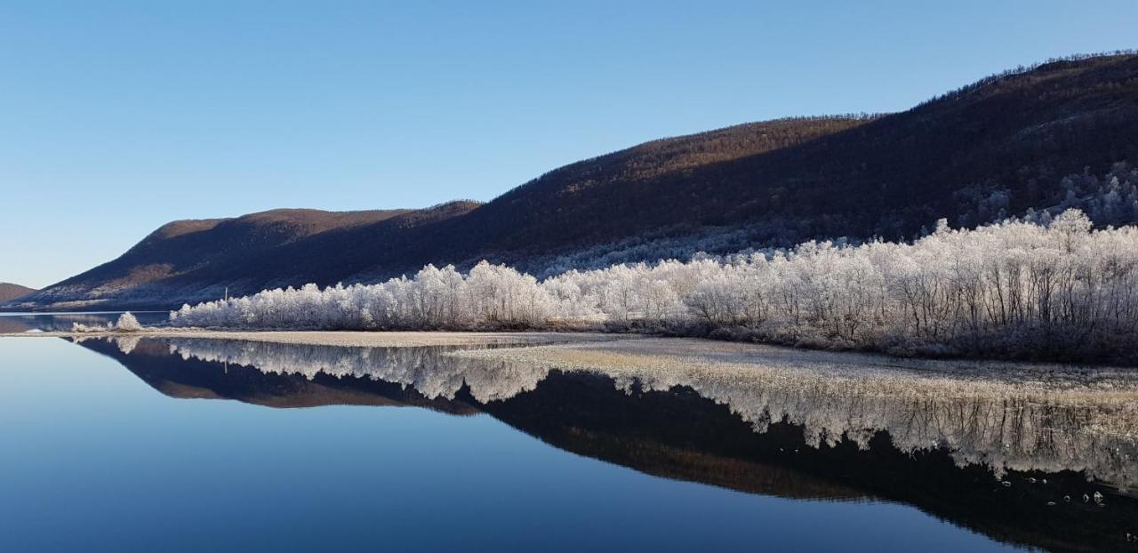 Elvestua Villa Gibostad Kültér fotó